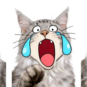 Lucky就是小幸运头像