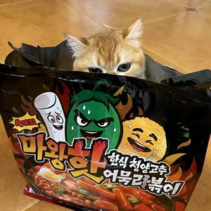 【 天津哈基米 】🐾🐾头像