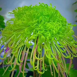 用户7857806199889头像