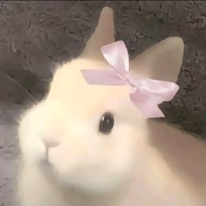 青不黛ˢᵍ👻.❀.ˠ🌻头像