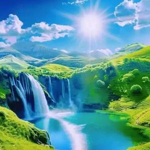 好运连连🌻头像