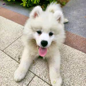 我是“奖金”耶૮₍ ˊᗜˋ₎ა头像