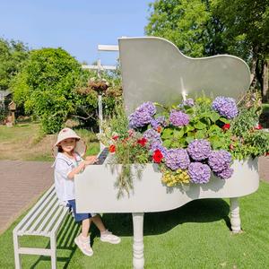 逸姑娘成长日记🌻头像