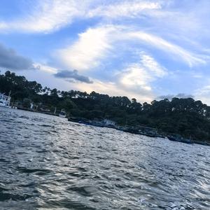 骑小电驴的薯条头像