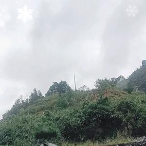 锦钰好物分享头像