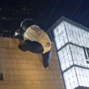 ⚜️💰⃝聚宝盆໊ིྀ࿐头像