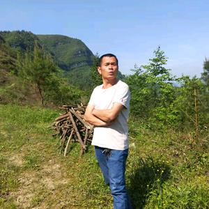 选择不对......努力白费，头像