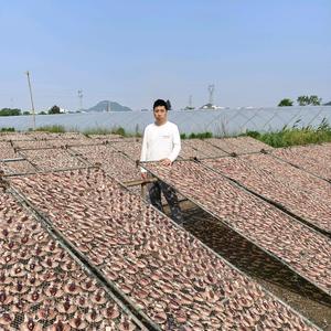 来点墨鱼干头像