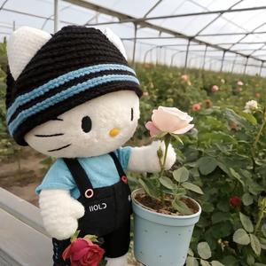 Y.鹭🙌🏻🌾头像