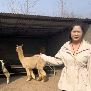 小黄特种珍禽养殖头像