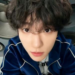 贤味小狗'.ㅅ'头像