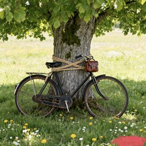 老梁(骑着烂单车逃离人间🚲)头像
