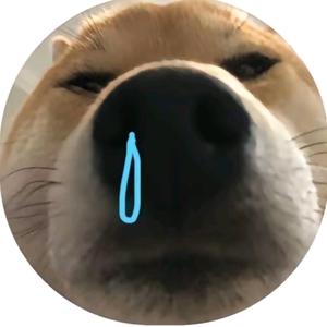 安琪拉→_→🦋头像