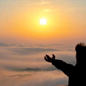 欲买桂花同载酒.头像