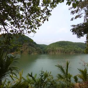 五指山房探小鹿🦌头像