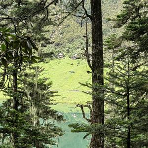 想在森林里建小木屋头像