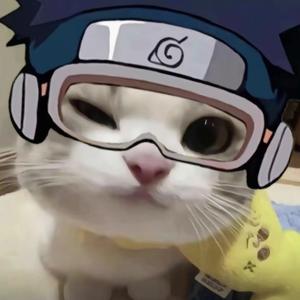 见面请送我火鸡面花束头像