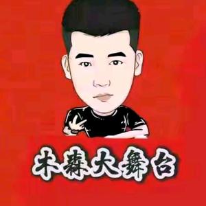 木森（追梦舞台）头像