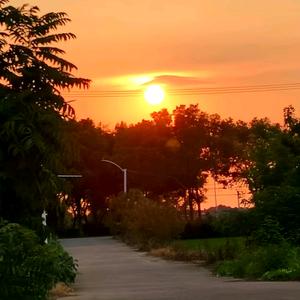 爱上榴莲味头像