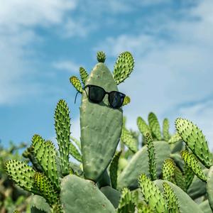 雨初晴现代农业有限公司头像