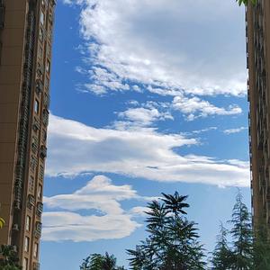 雌鹰般的女人头像