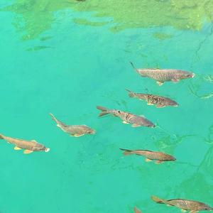 爱与陪伴练习生·冬天🌠头像