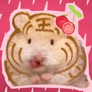 是大薯兔呀头像