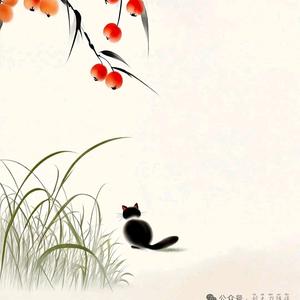 胆小的🍃笨小孩头像