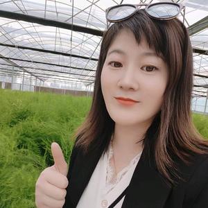 中国芦笋种业头像