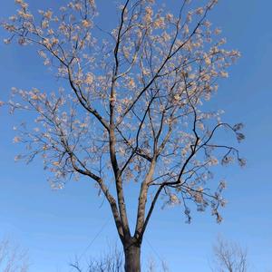 慢慢其漫漫头像