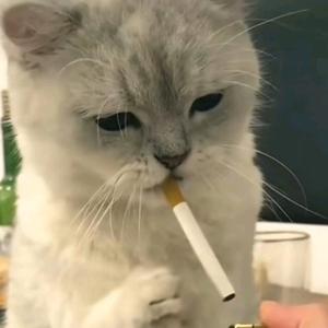李…头像