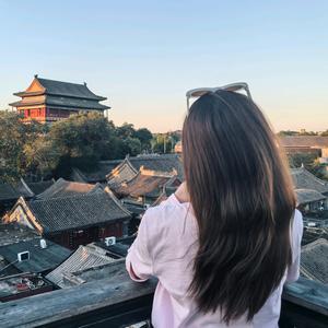 弗洛伊德的德头像