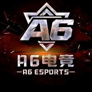 A6电竞（护H小号头像