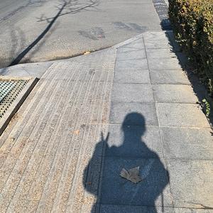 在下张棒棒头像