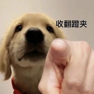 🏊dang教练头像