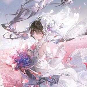 夜鸢爱睡觉头像