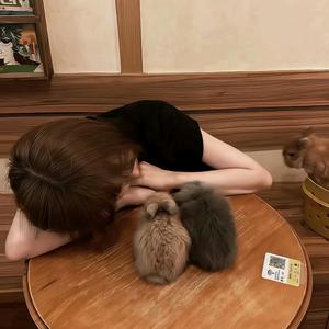 宋妍轩.（＾ω＾）头像