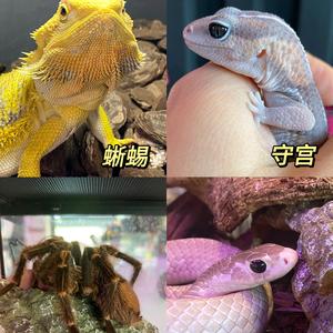 其实也很可爱头像