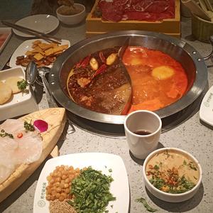 红牛好吃鱼头像