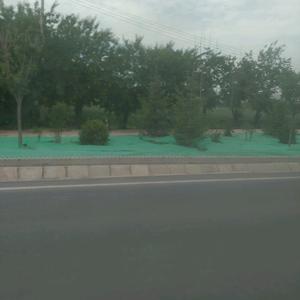 小姐姐《主页置顶有制作教程》头像