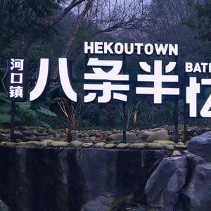 八条半.忆光年官方号头像