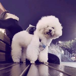 丅-_-丅-_-丅头像