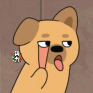 努力的狗哥头像