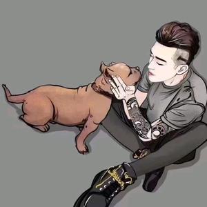 杰克罗素梗爱好者头像