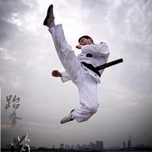 费县汉城黑带跆拳道教育头像