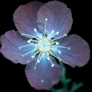 今天↔️明天头像