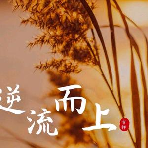 美味好生活头像