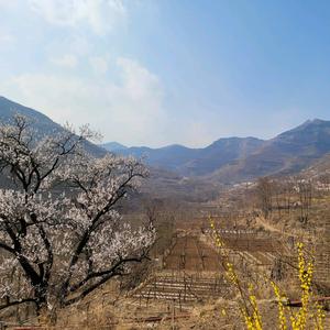勇往直前，成。头像