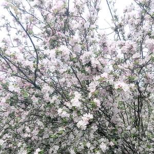 宁宁爱看电视头像