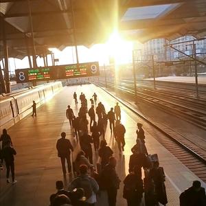 金牛座的少年郎头像